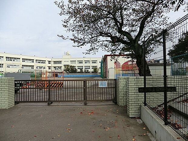 小学校 650m 横浜市立白根小学校