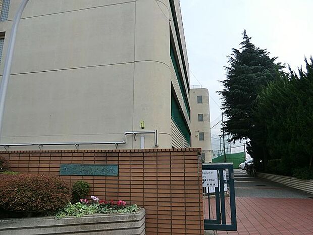 中学校 260m 横浜市立平楽中学校