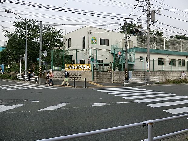 幼稚園・保育園 800m 白根幼稚園