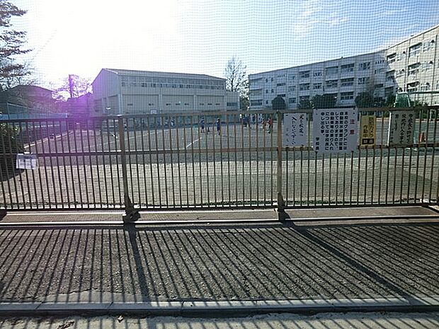 小学校 800m 横浜市立小雀小学校