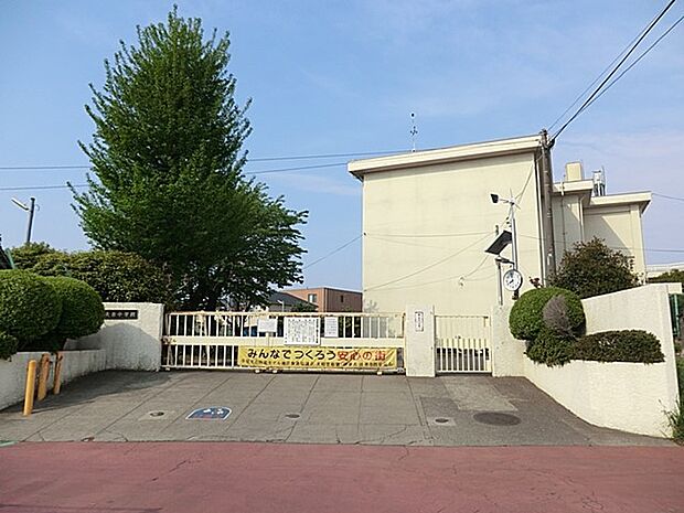小学校 300m 綾瀬市立天台小学校