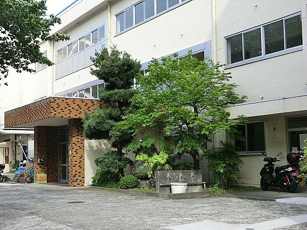小学校 720m 二宮町立一色小学校