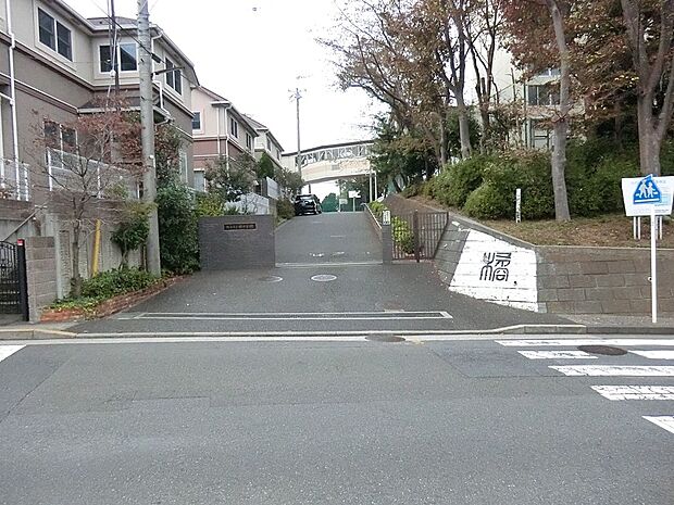 中学校 1200m 横浜市立橘中学校