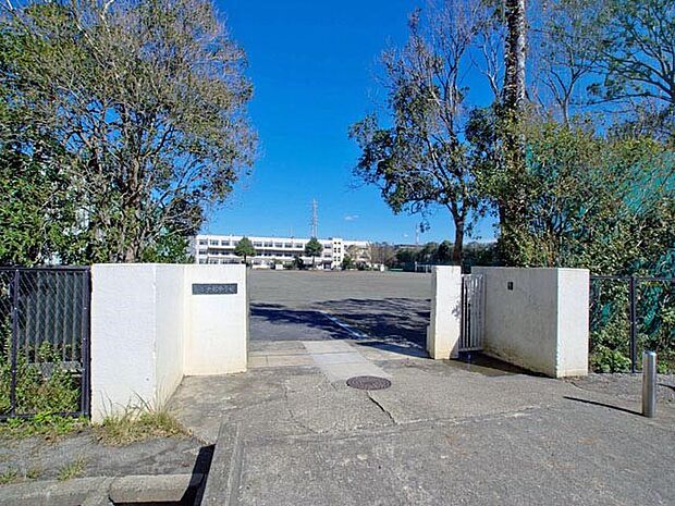 中学校 1100m 鎌倉市立大船中学校