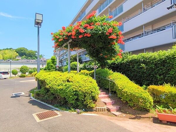 ■お天気がよいとお散歩も気持ちよくできますね