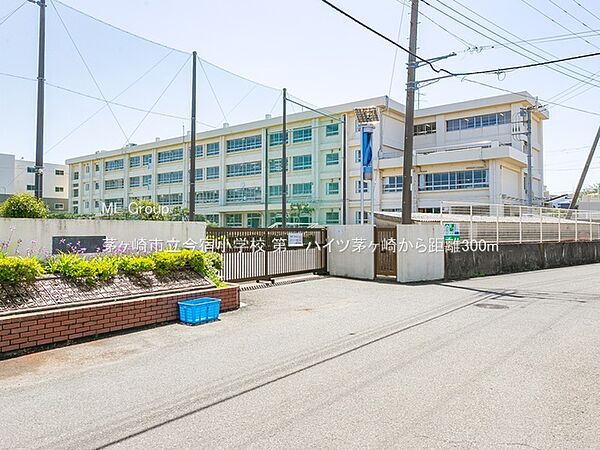小学校 300m 茅ヶ崎市立今宿小学校