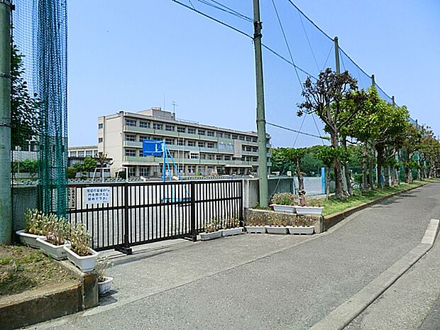 小学校 1400m 藤沢市立大清水小学校