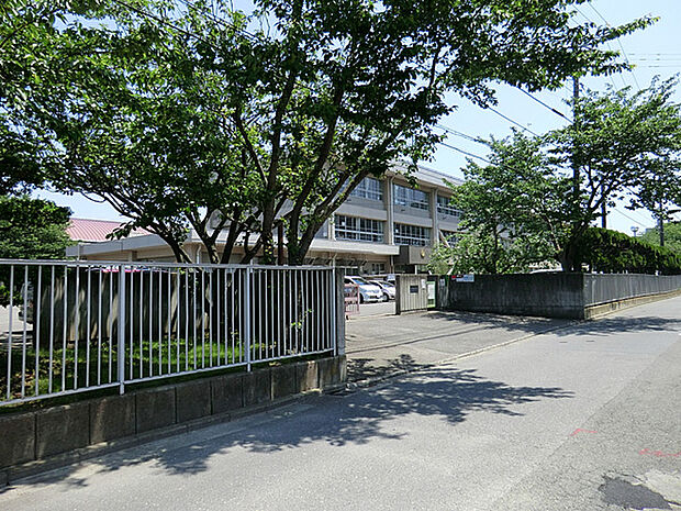 小学校 1200m 横須賀市立神明小学校