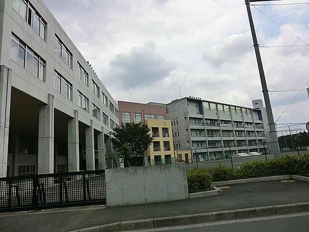 中学校 1100m 大和市立渋谷中学校