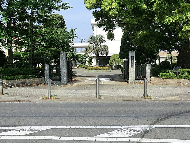 小学校 2000m 平塚市立旭小学校