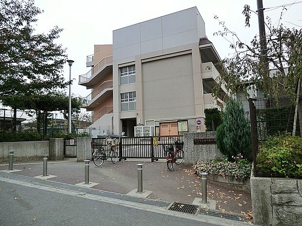 小学校 1800m 横浜市立森の台小学校