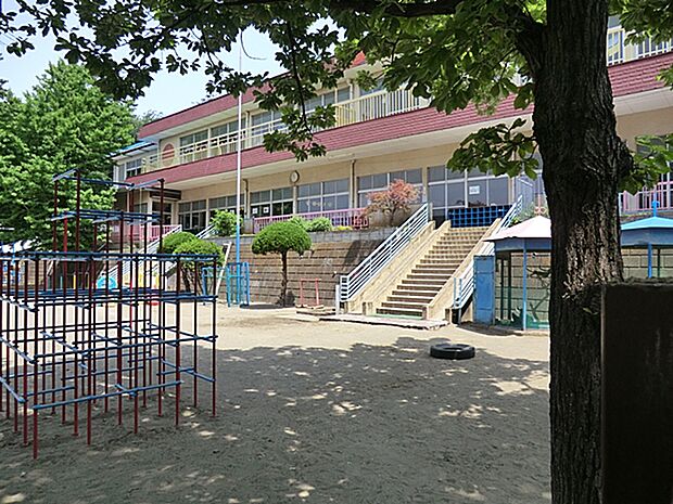 幼稚園・保育園 1400m 柏幼稚園