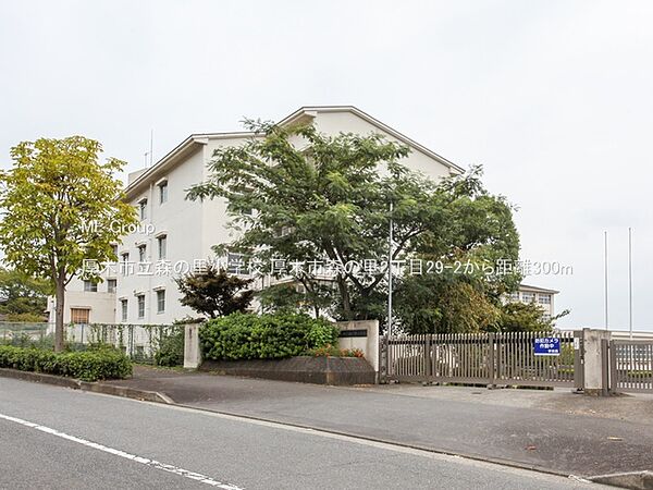 小学校 300m 厚木市立森の里小学校