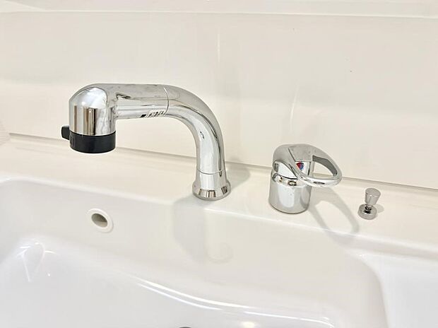 ■細かい部分まで洗いやすく便利なハンドシャワー付き