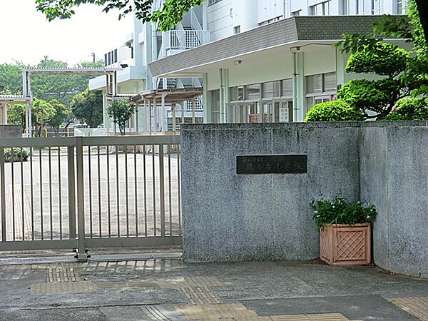 小学校 850m 茅ヶ崎市立鶴が台小学校