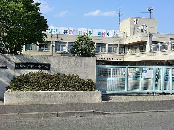 小学校 1518m 川崎市立稗原小学校