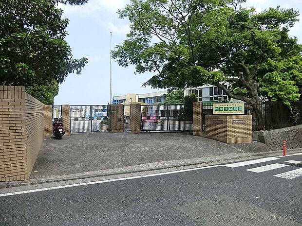 幼稚園・保育園 1100m さゆり幼稚園