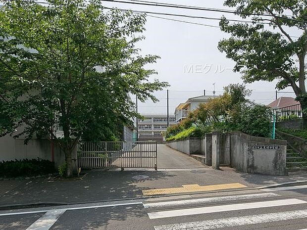 中学校 1800m 横浜市利地岩崎中学校