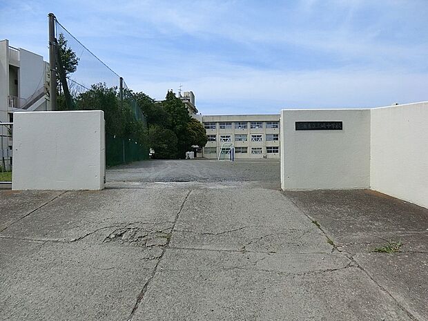 中学校 1700m 三浦市立三崎中学校