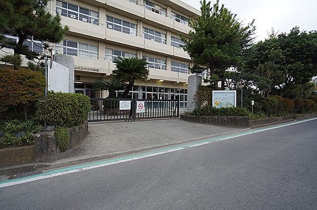 中学校 1500m 小田原市立千代中学校