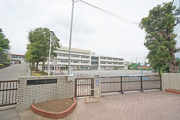 小学校 800m 横浜市立六ツ川西小学校