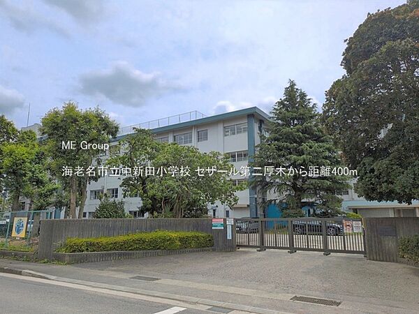 小学校 400m 海老名市立中新田小学校