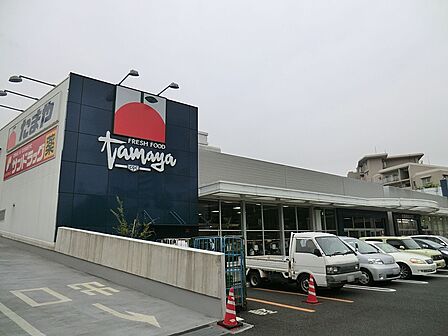 スーパー 380m たまや野庭店