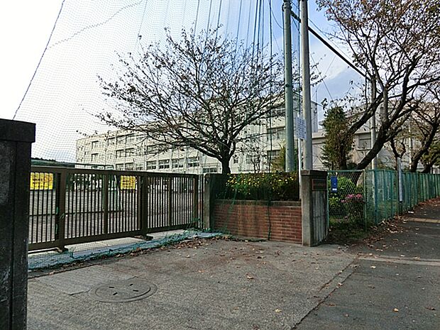 小学校 584m 横浜市立四季の森小学校