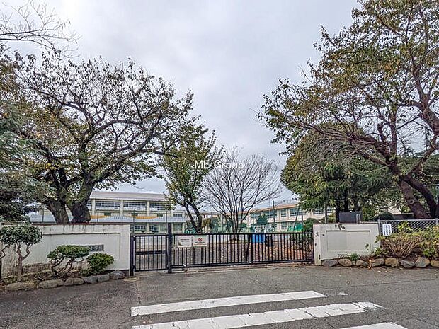 小学校 270m 平塚市立中原小学校