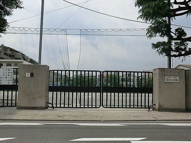 小学校 600m 川崎市立古川小学校