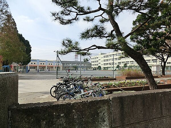 小学校 400m 横浜市立東希望が丘小学校