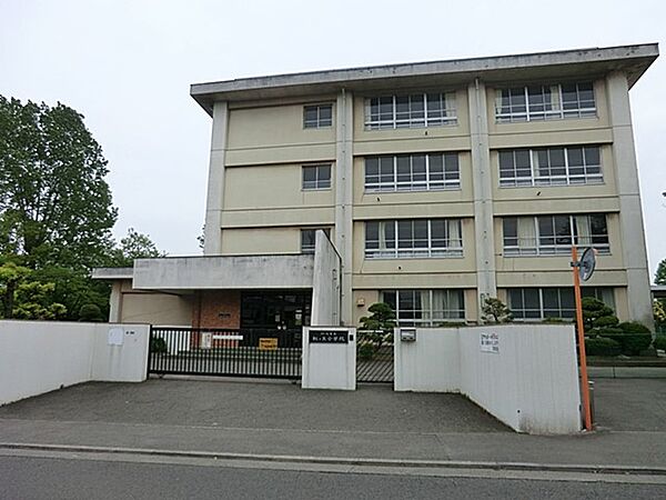 小学校 500m 川崎市立虹ヶ丘小学校