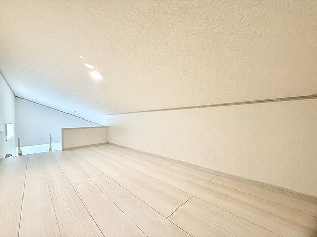 ■+αのスペース!ロフト付き!