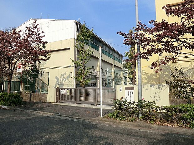 小学校 1120m 横浜市立星川小学校