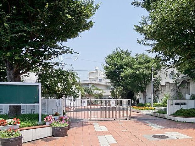 小学校 1900m 横浜市立寺尾中学校