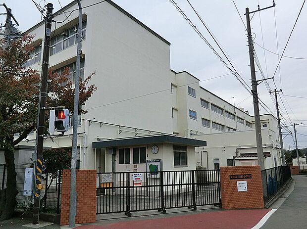 小学校 900m 横浜市立川和小学校
