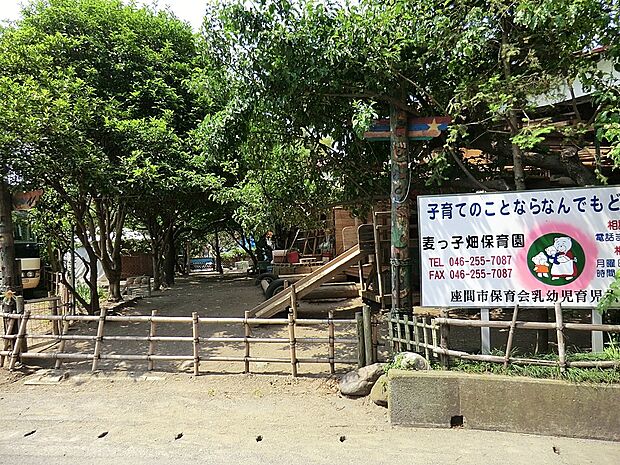 幼稚園・保育園 450m 麦っ子畑保育園