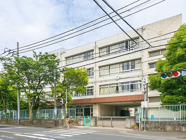 小学校 500m 川崎市立野川小学校