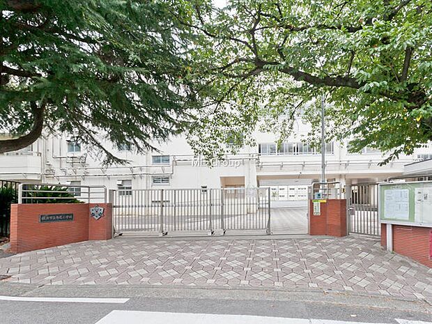 小学校 700m 横浜市立寺尾小学校