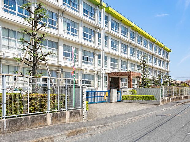 小学校 530m 平塚市立山下小学校