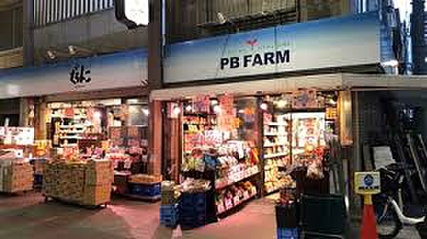 画像20:【スーパー】PBFARM佐竹店まで482ｍ