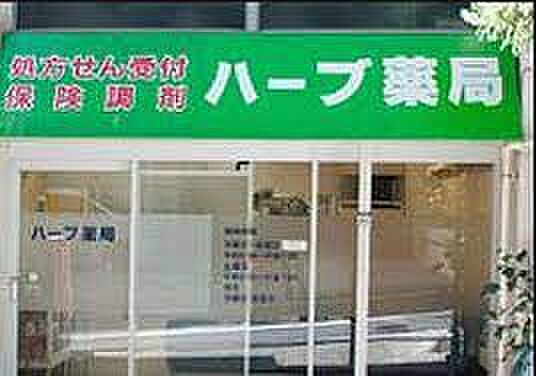 NJK MARQUIS OMOTESANDO ｜東京都渋谷区渋谷2丁目(賃貸マンション1LDK・14階・44.38㎡)の写真 その22