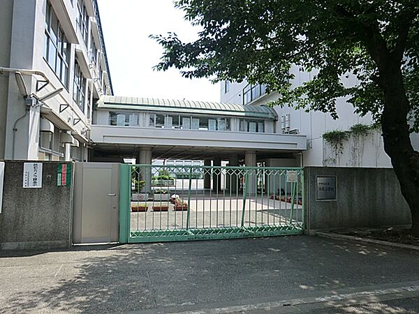 池尻小学校
