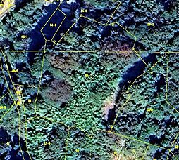 宮城県石巻市長渡浜小長渡