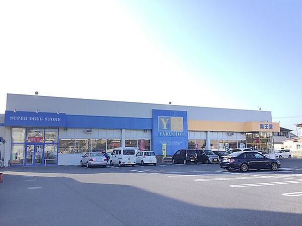 薬王堂　末広店 580m