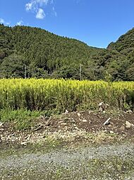 宮城県石巻市成田字前山下