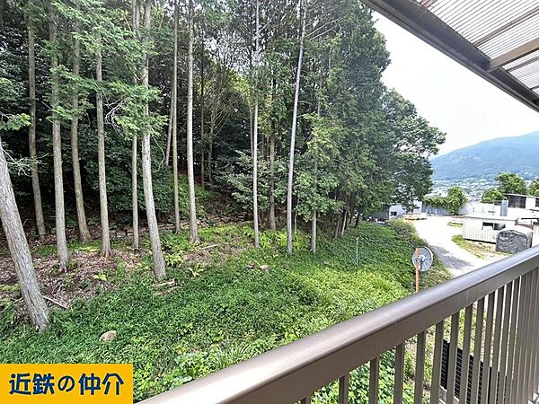 現地からの眺望（2026年6月）撮影