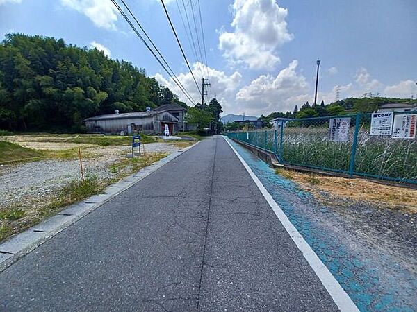2026年5月撮影