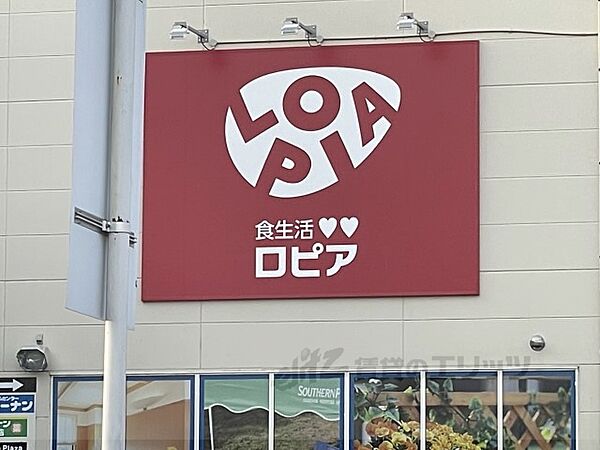 画像20:ロピア　大和郡山店まで450メートル