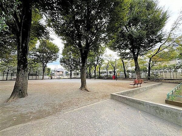 中央公園 350m